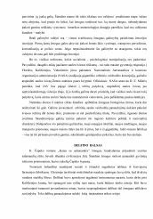 www.speros.lt